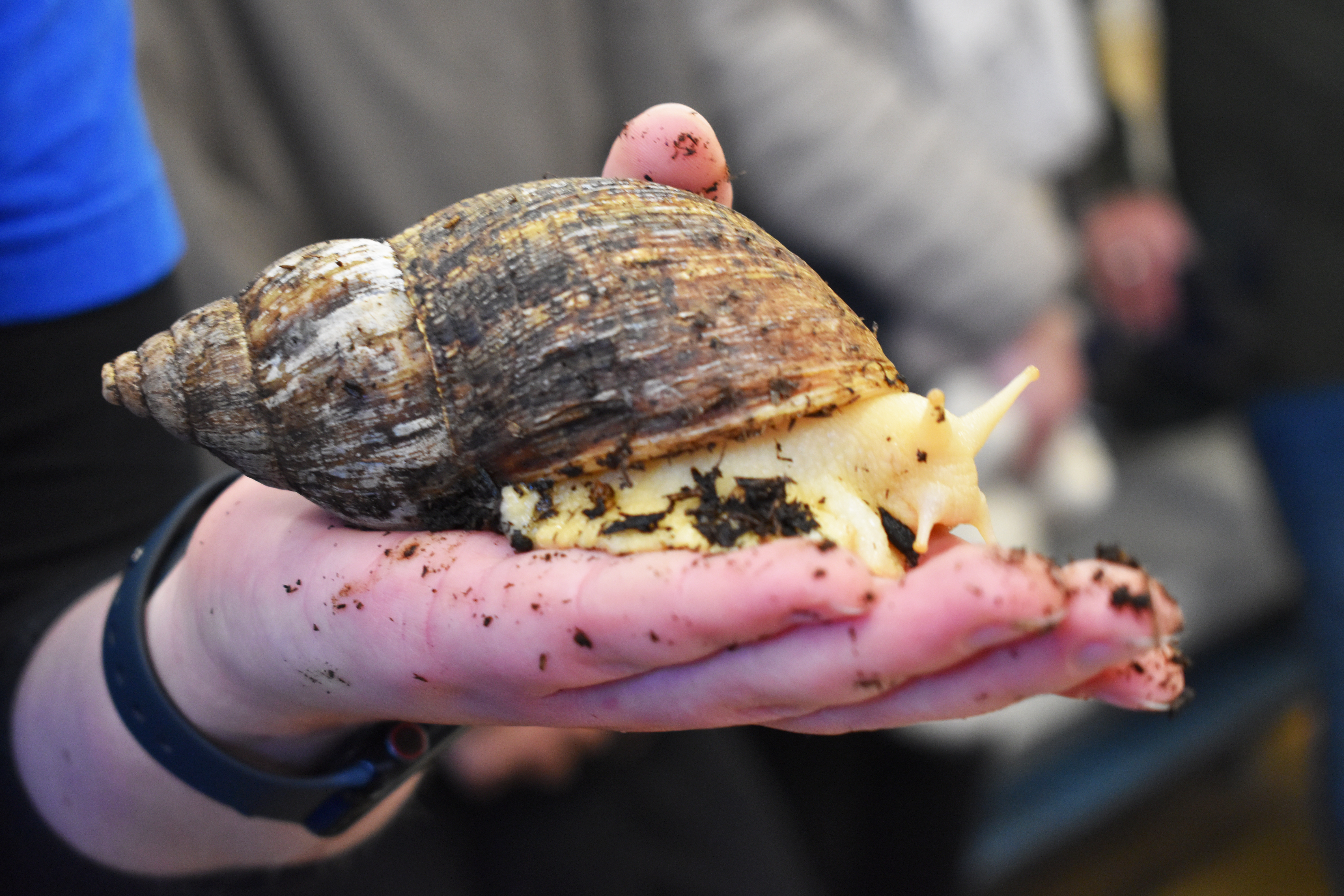 Til Åbent Hus 2026 var der i Vranderup oplæg om snegle og slanger