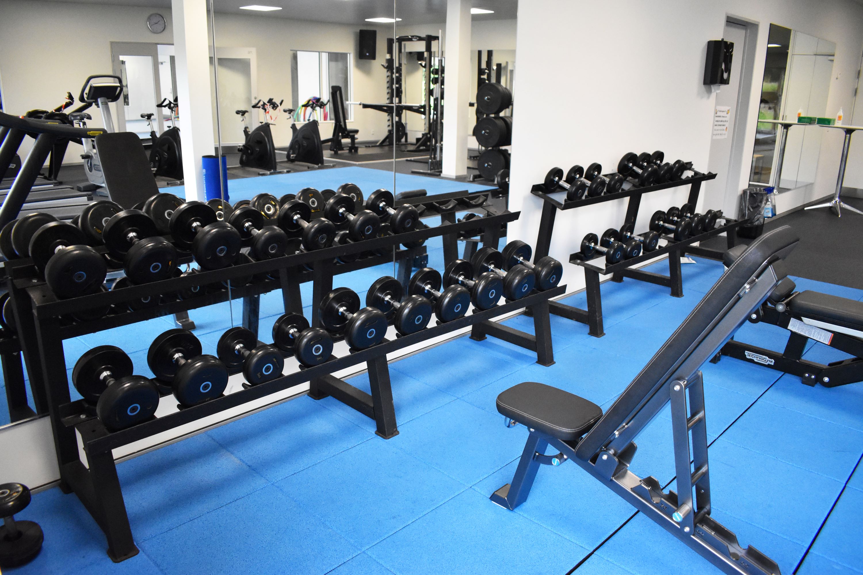 Noget af udstyret i fitness- og træneruddannelsen lokaler.