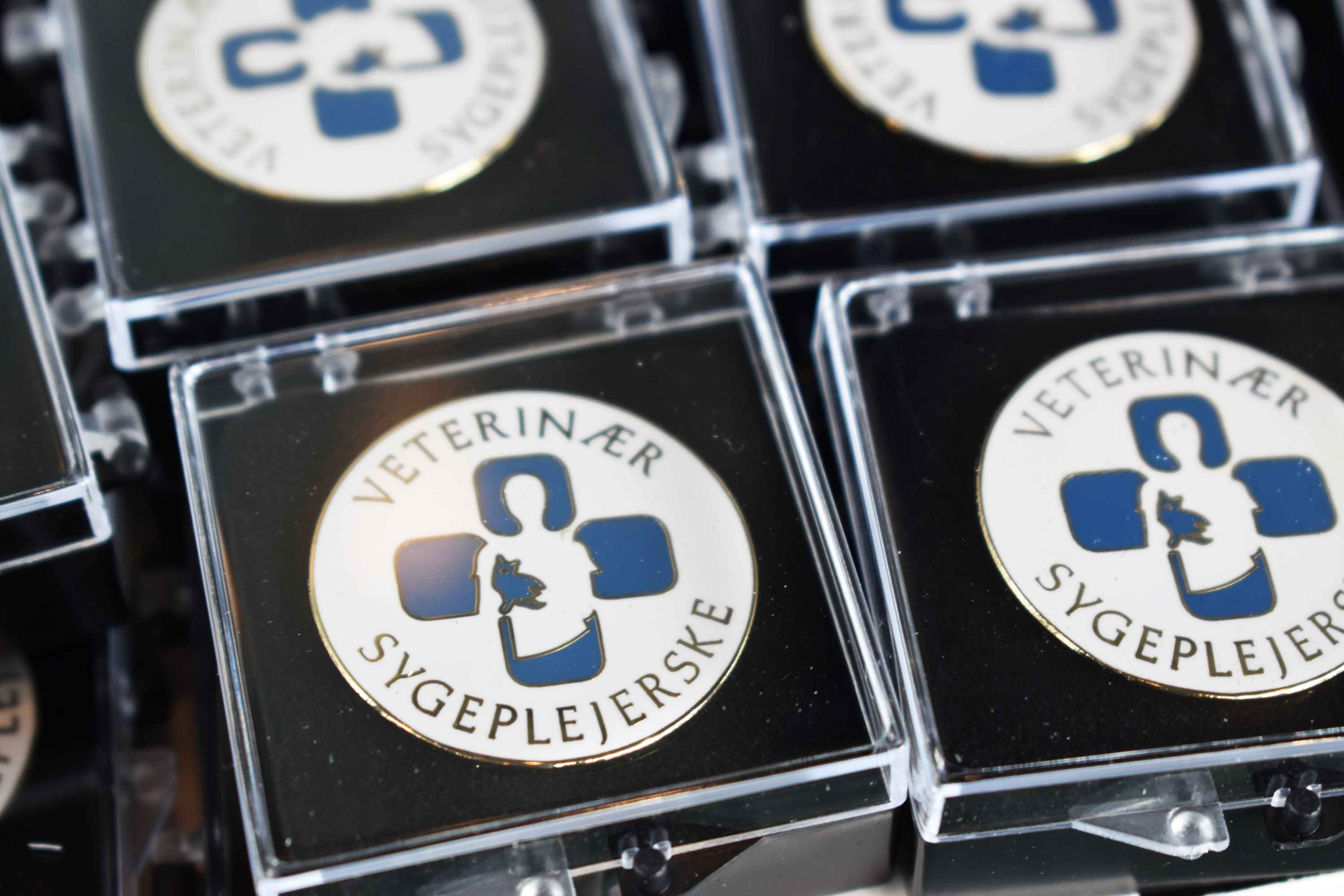 Når en veterinærsygeplejerske er udlært, får hun denne nål, hun kan bære som bevis.