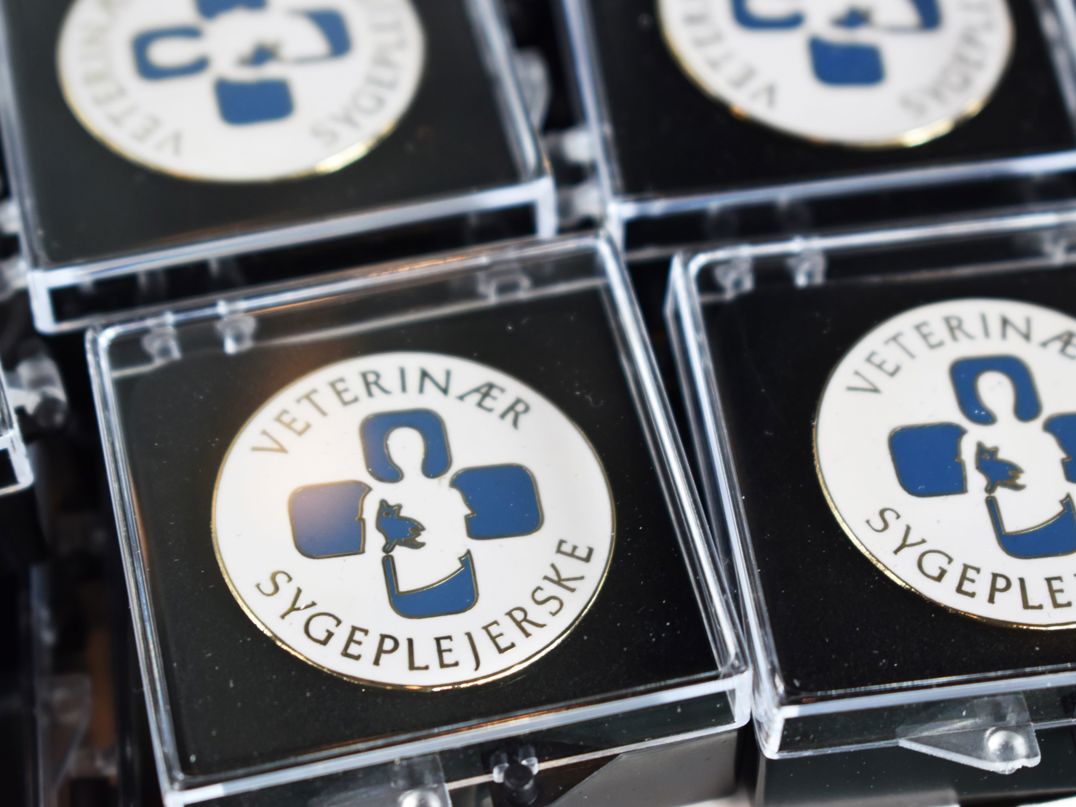 Når en veterinærsygeplejerske er udlært, får hun denne nål, hun kan bære som bevis.