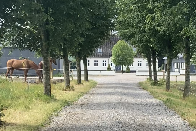 Vanggård - som gården ved Hansenbergs kvæggård og hestestald også kaldes.