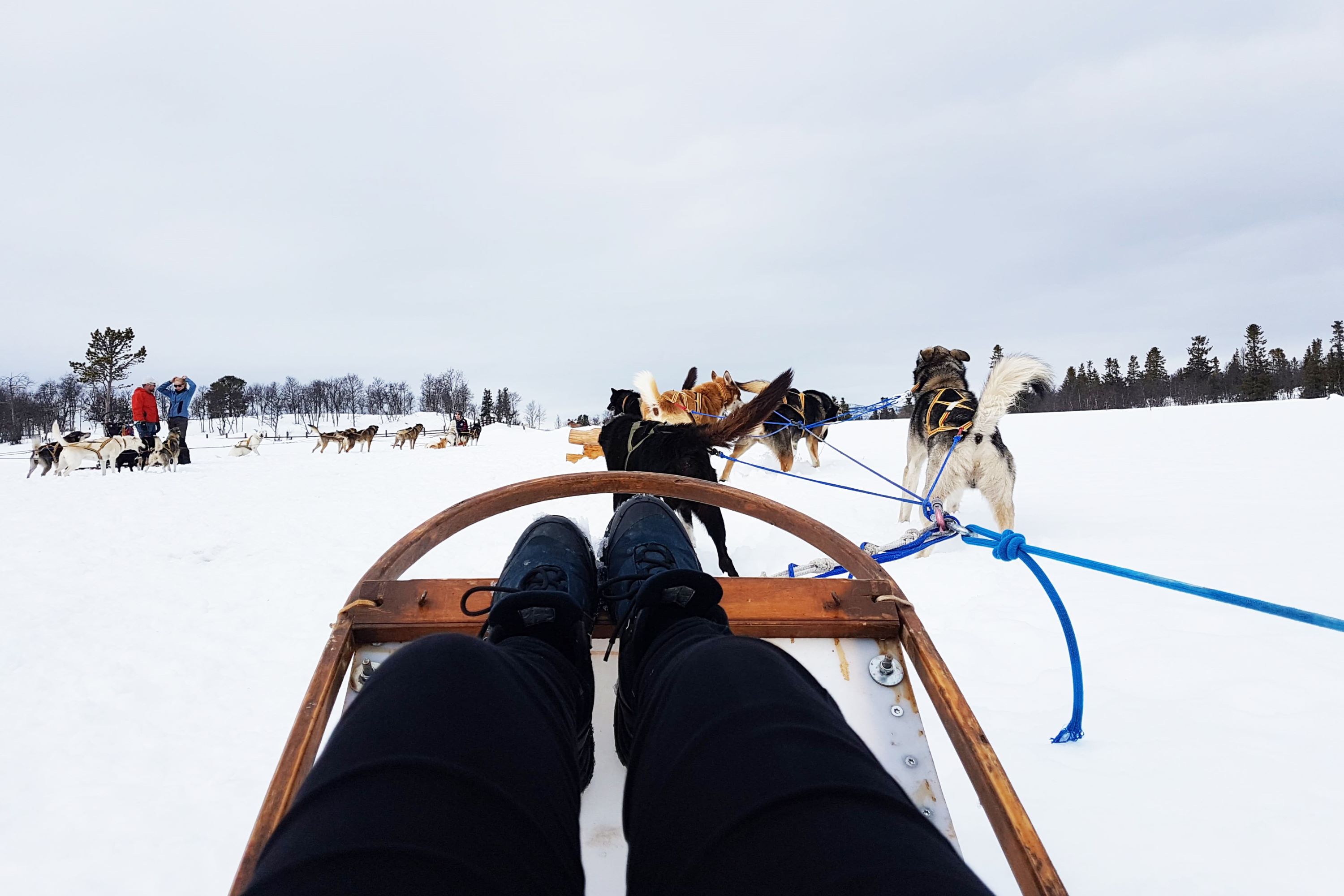 Billedet, som en dyrepasserelev har taget under oplæring i udlandet (OPU), viser hendes tur på hundeslæde i et snelandskab.