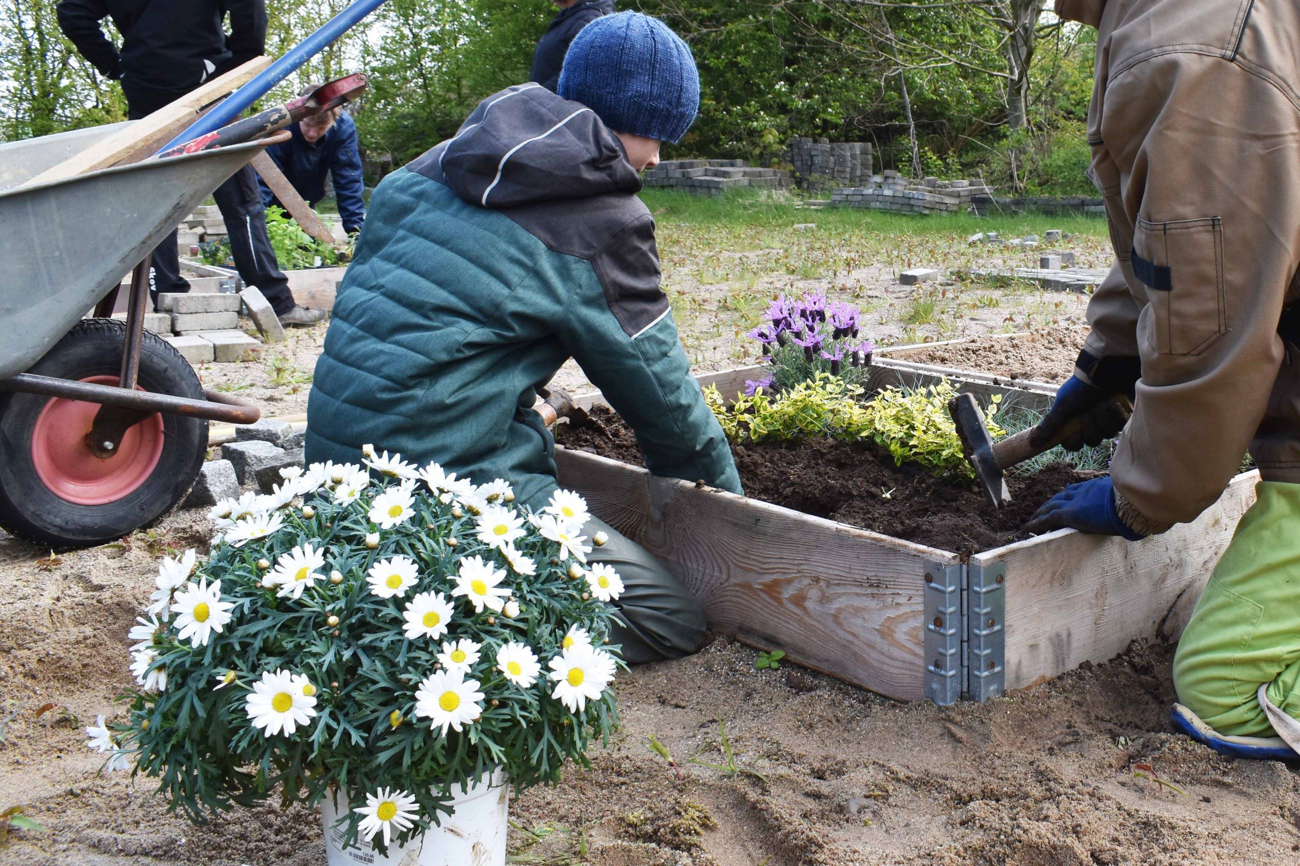 Her er nogle af deltagerne til Prøv et fag for elever i 4.-10. klasse, som planter blomster på anlægsgartneruddannelsen.