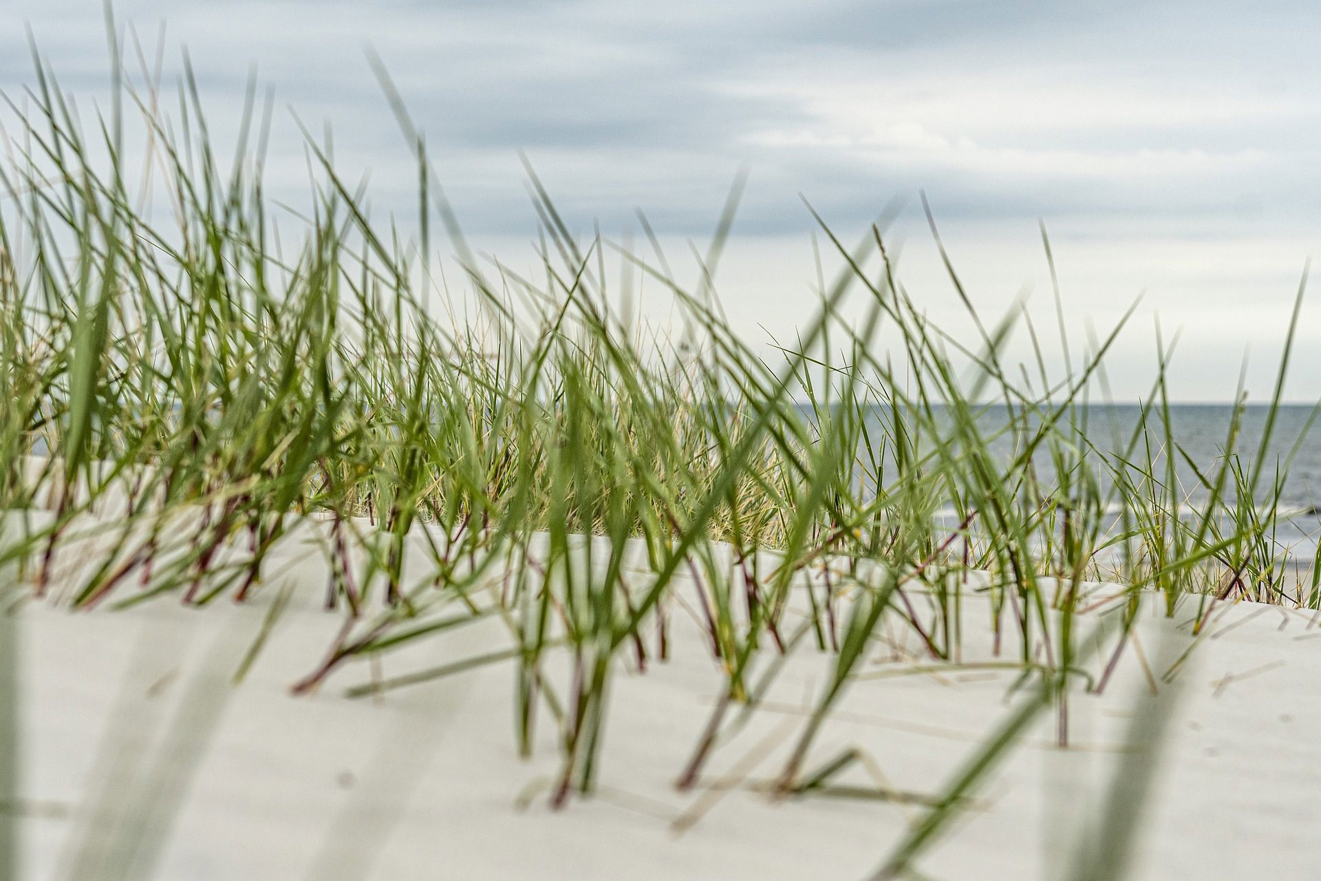 Strand, marehalm og vand, dansk sommer.