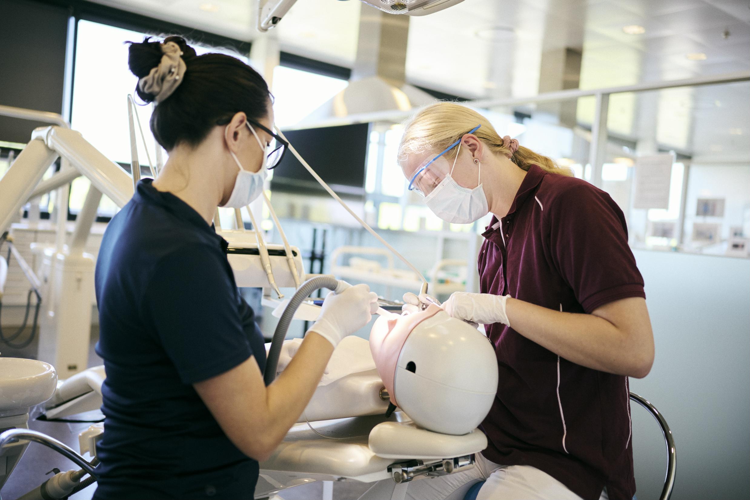 Tandklinikassistenteleverne øver bl.a. i at bruge sug og rense tænder på en tanddukke i Hansenbergs tandklinik.