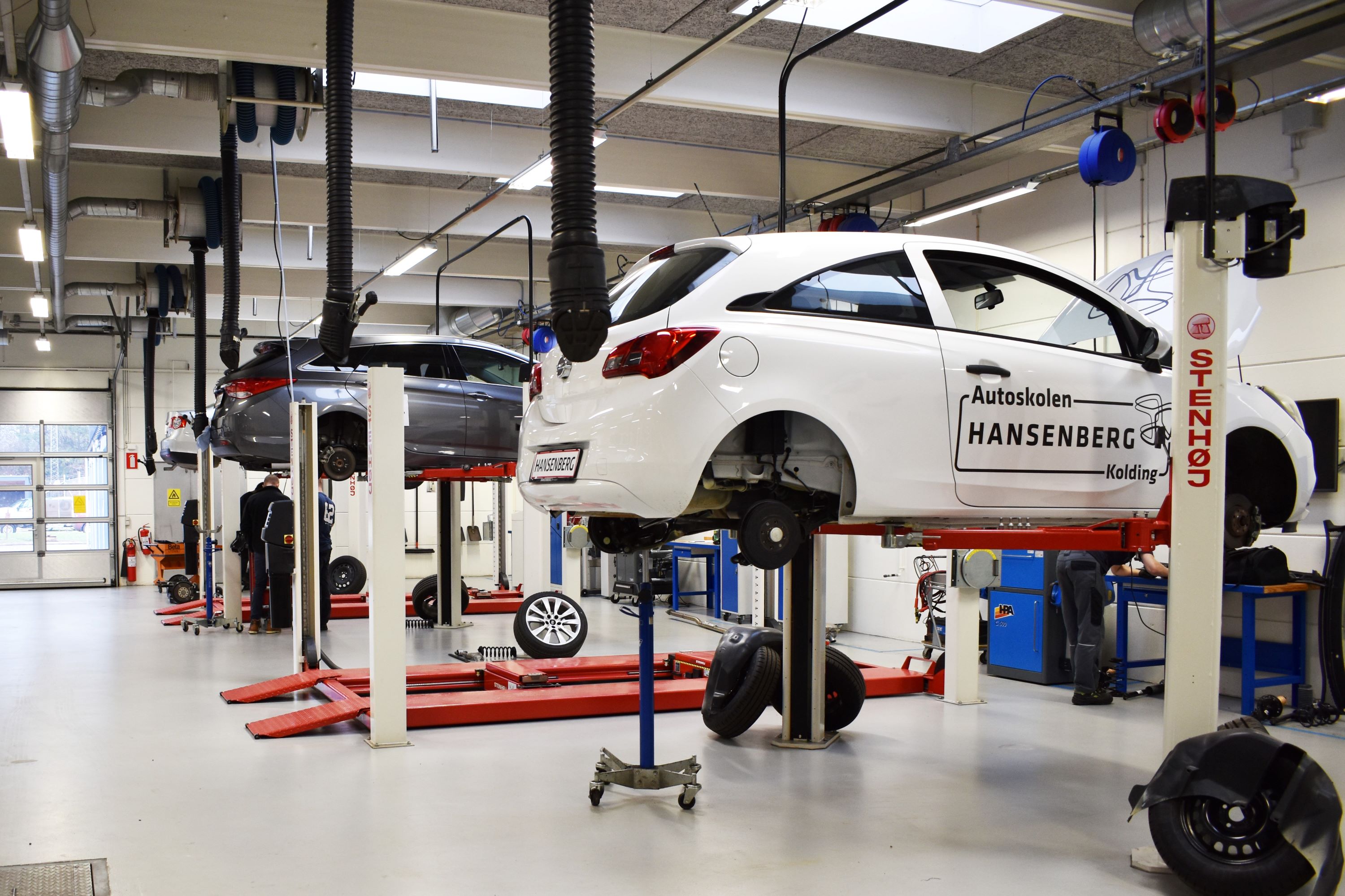 Flere biler er hejst op på nogle af de mange autolifte på Hansenbergs lyse autoværksted, hvor mekanikereleverne lærer alt om fejlfinding og reparation af biler.