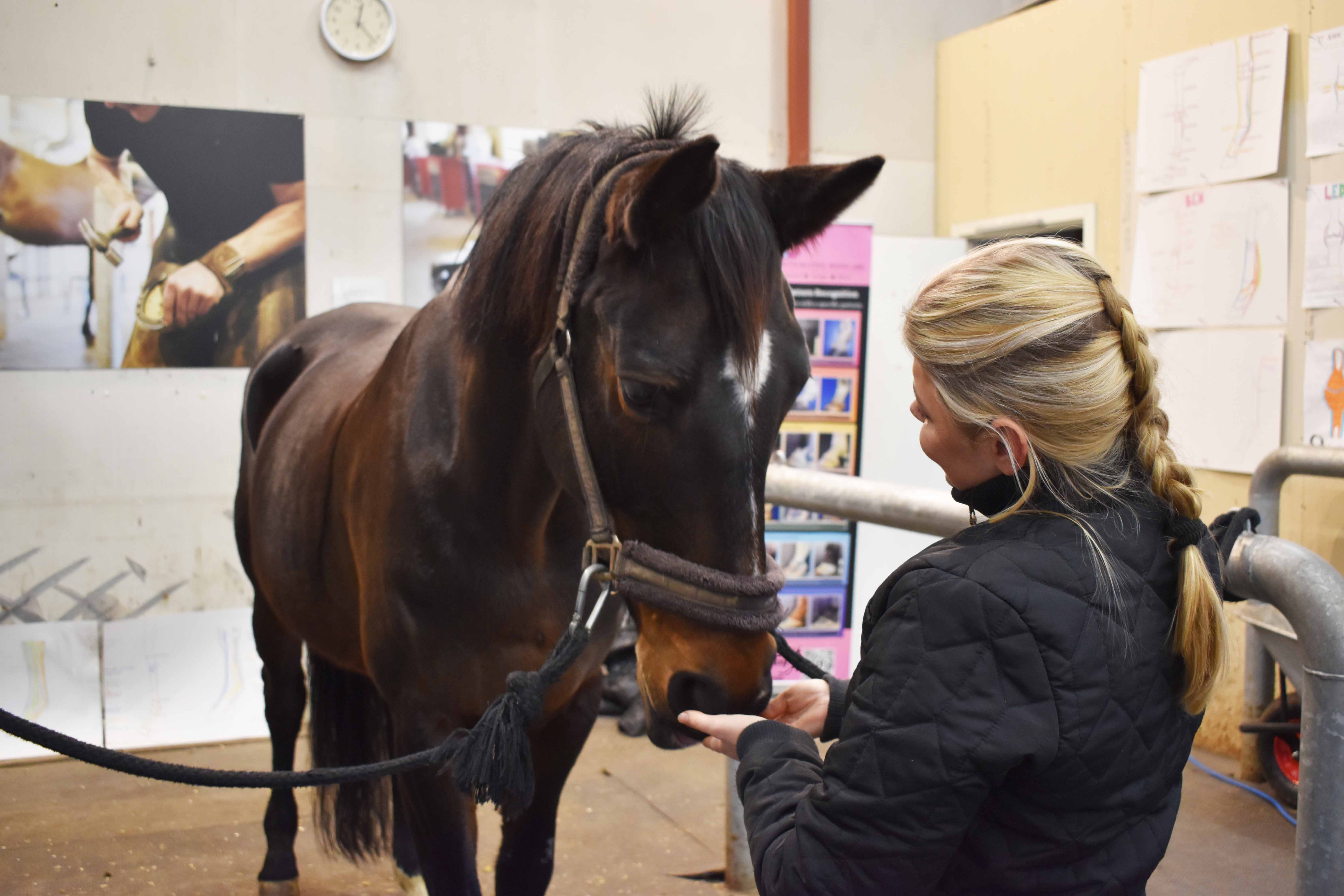 Der var heste i beslagsmedjen i Vranderup til Åbent Hus 2026
