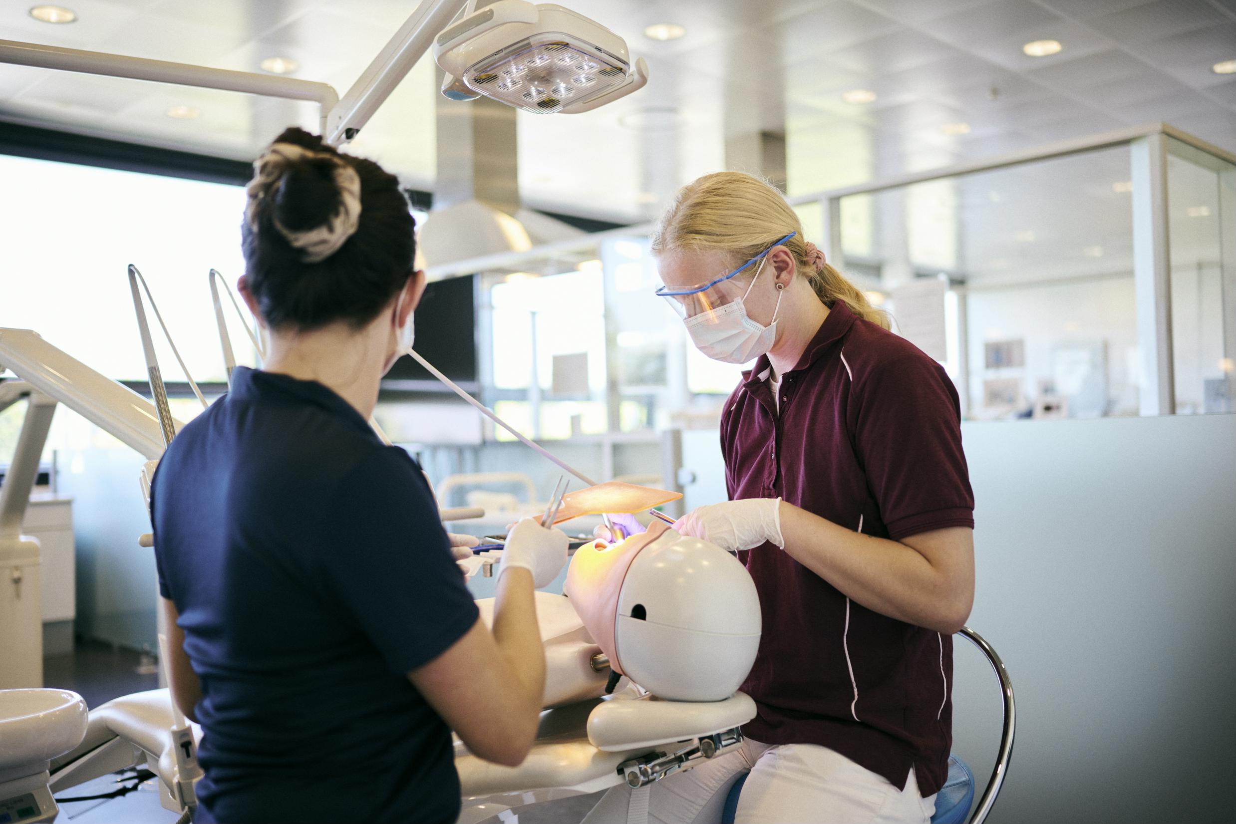 Tandklinikassistenteleverne øver sig på en tanddukke i skolens tandklinik.