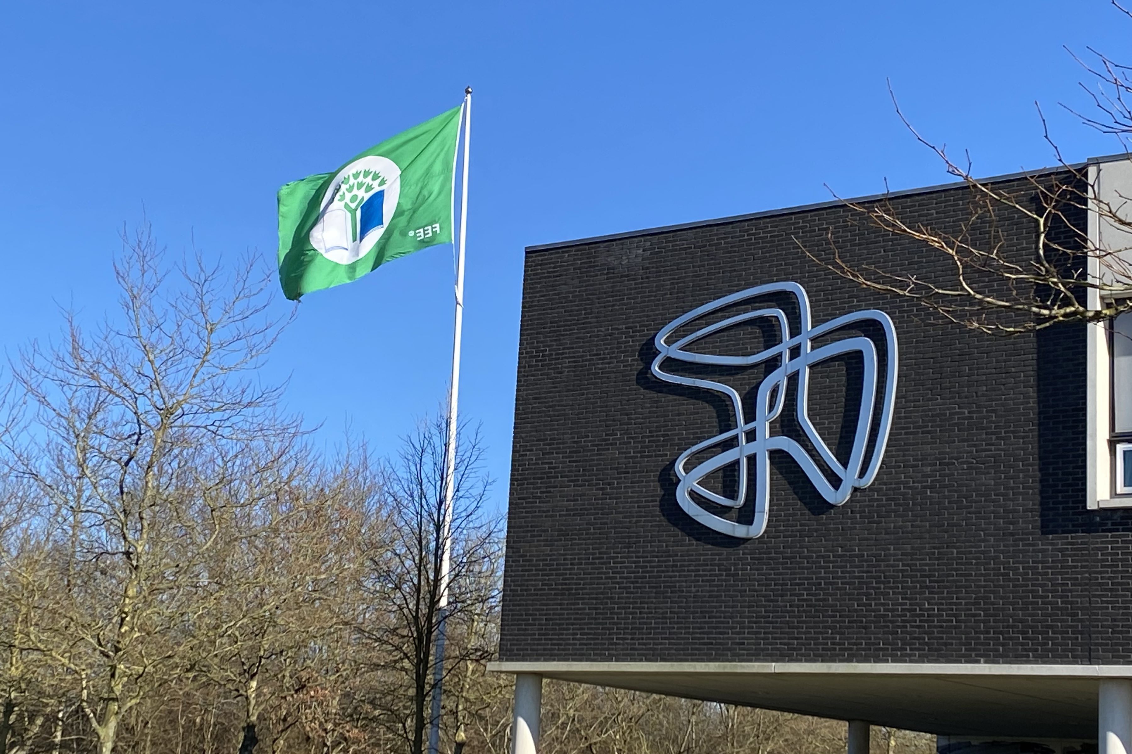 Det grønne flag vajer ved Hansenbergs hovedbygning på skolens adresse Skovvangen 28 i Kolding.
