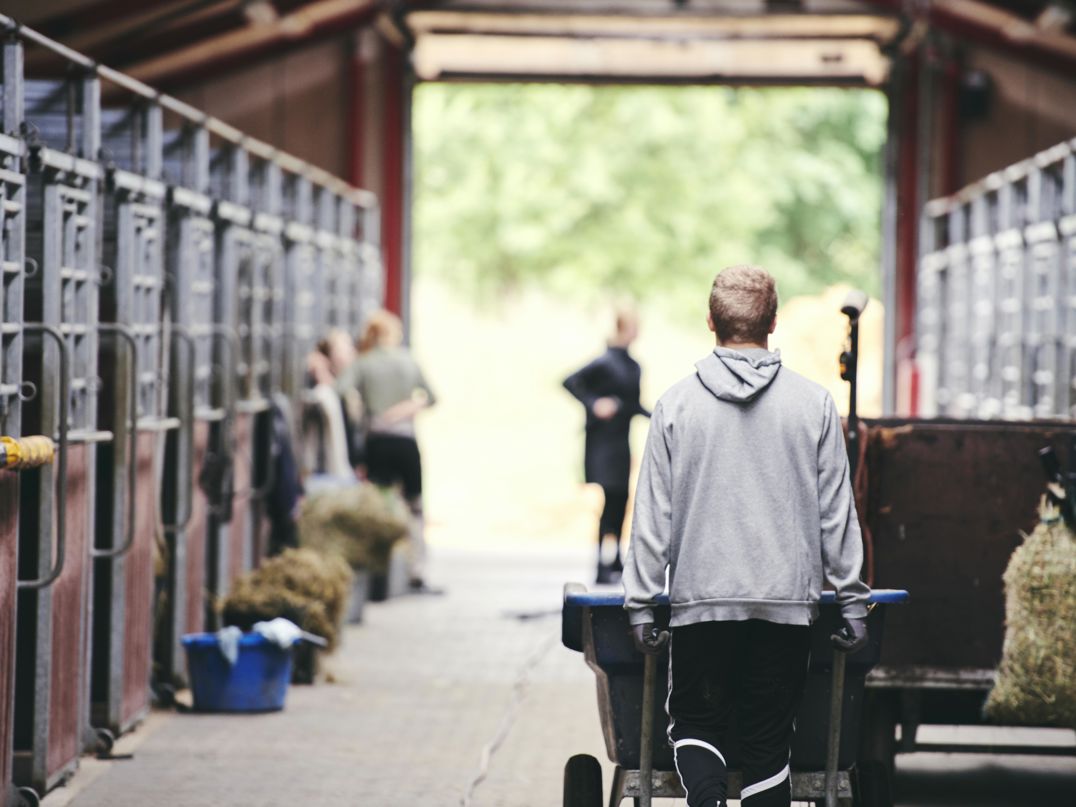 En elev på dyrepasseruddannelsen med specialet hestemanager er i gang med opgaverne i skolens hestestald.
