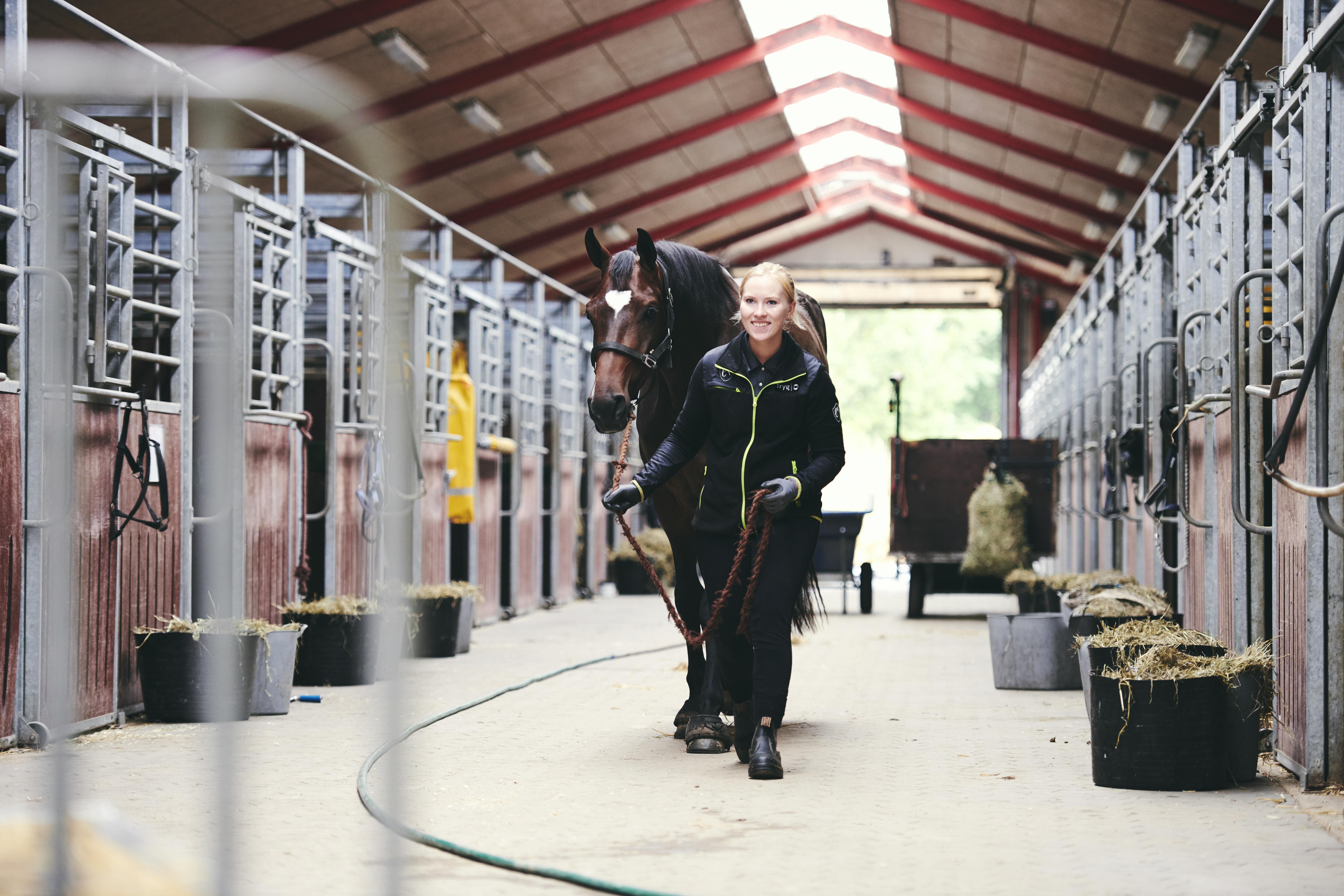 En elev på dyrepasseruddannelsen med specialet hestemanager fører en hest ud af skolens stald.