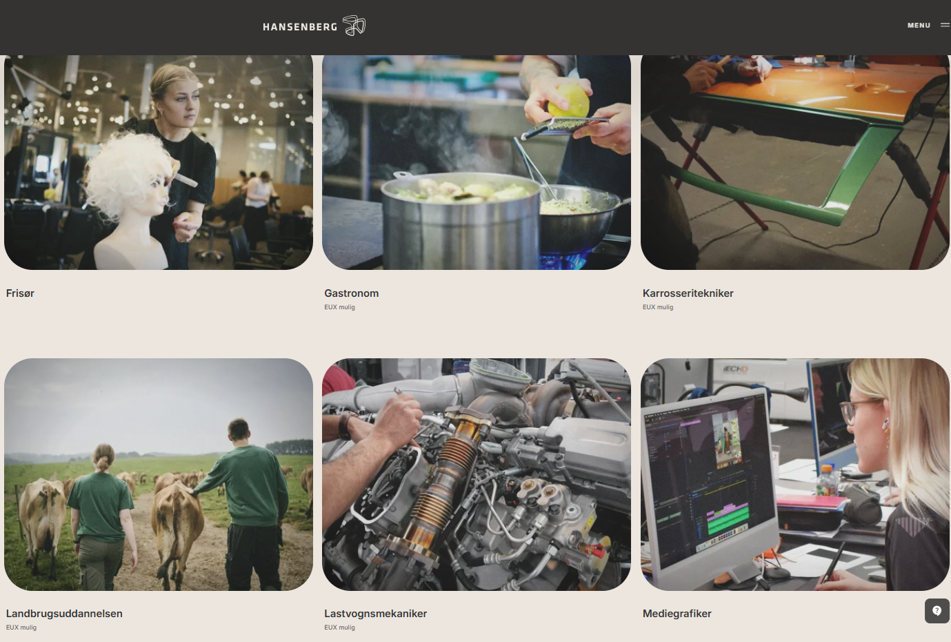 Oversigt over nogle af Hansenbergs uddannelser.