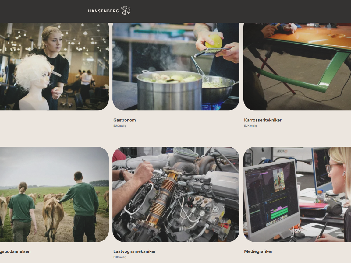 Oversigt over nogle af Hansenbergs uddannelser.