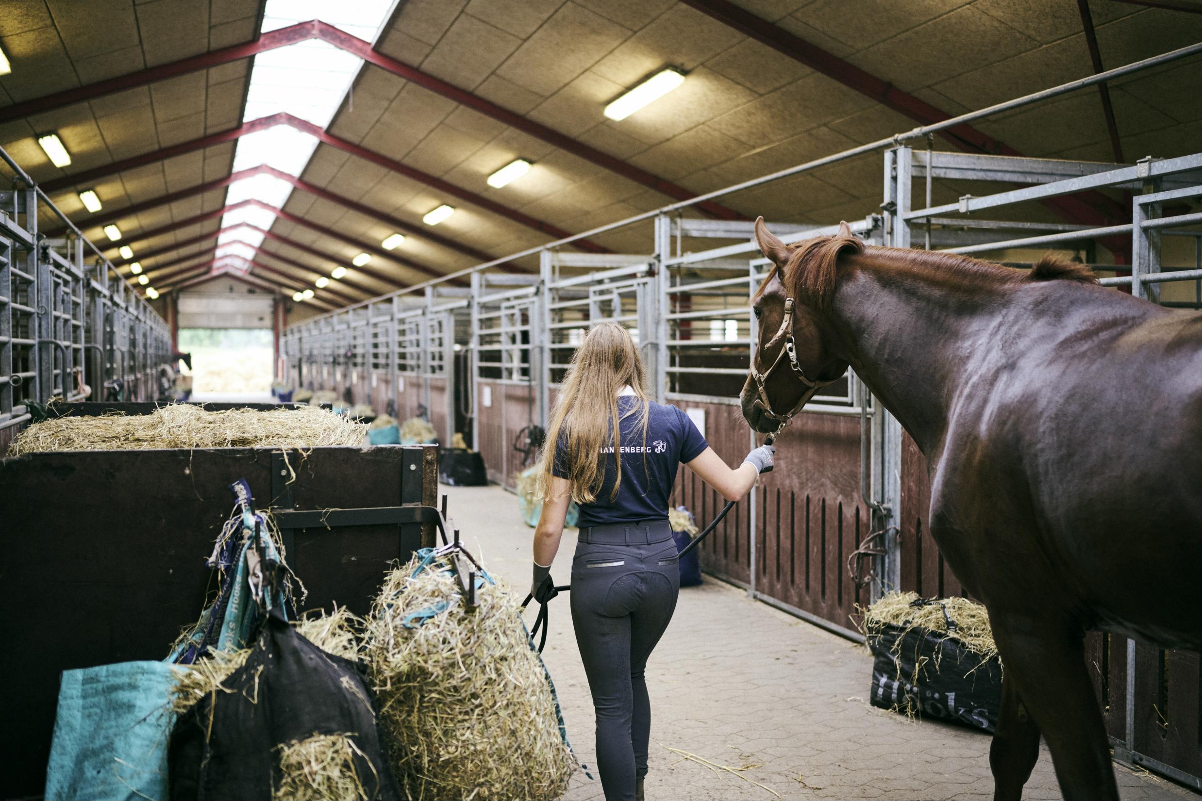 En elev på dyrepasseruddannelsen med specialet hestemanager fører en hest ind i hestestalden.