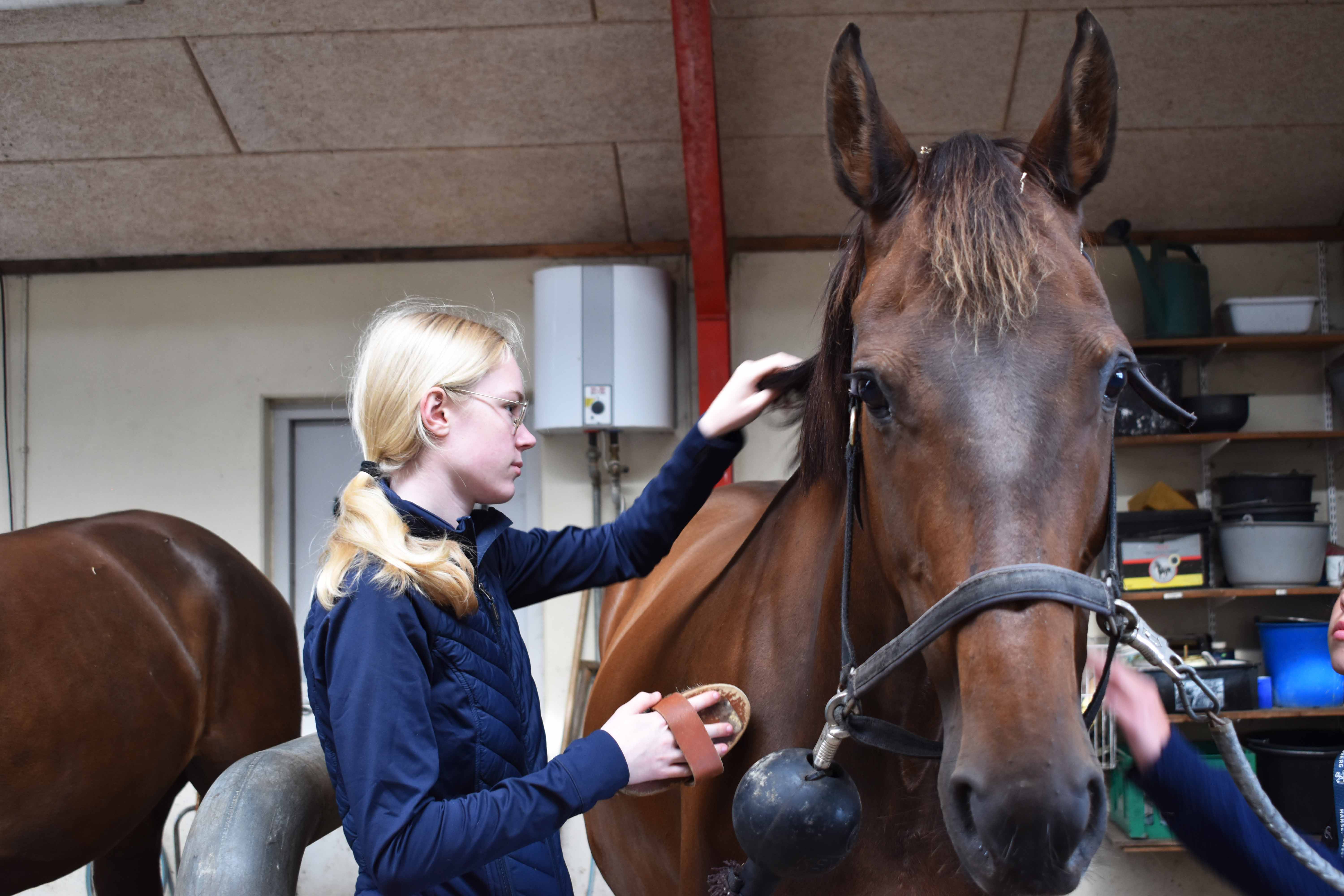 Gry Dilberg Lund er glad for dyr - specielt heste.