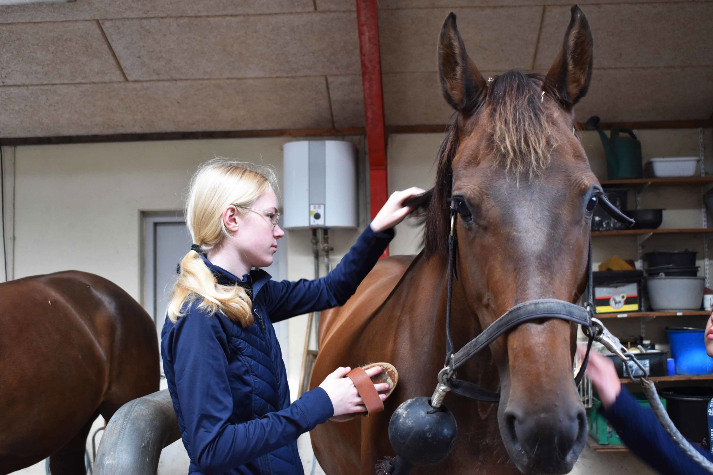 Gry Dilberg Lund er glad for dyr - specielt heste.