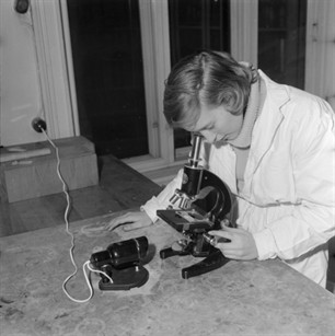 i 1963 startede laboranterne i klasser på skolen.