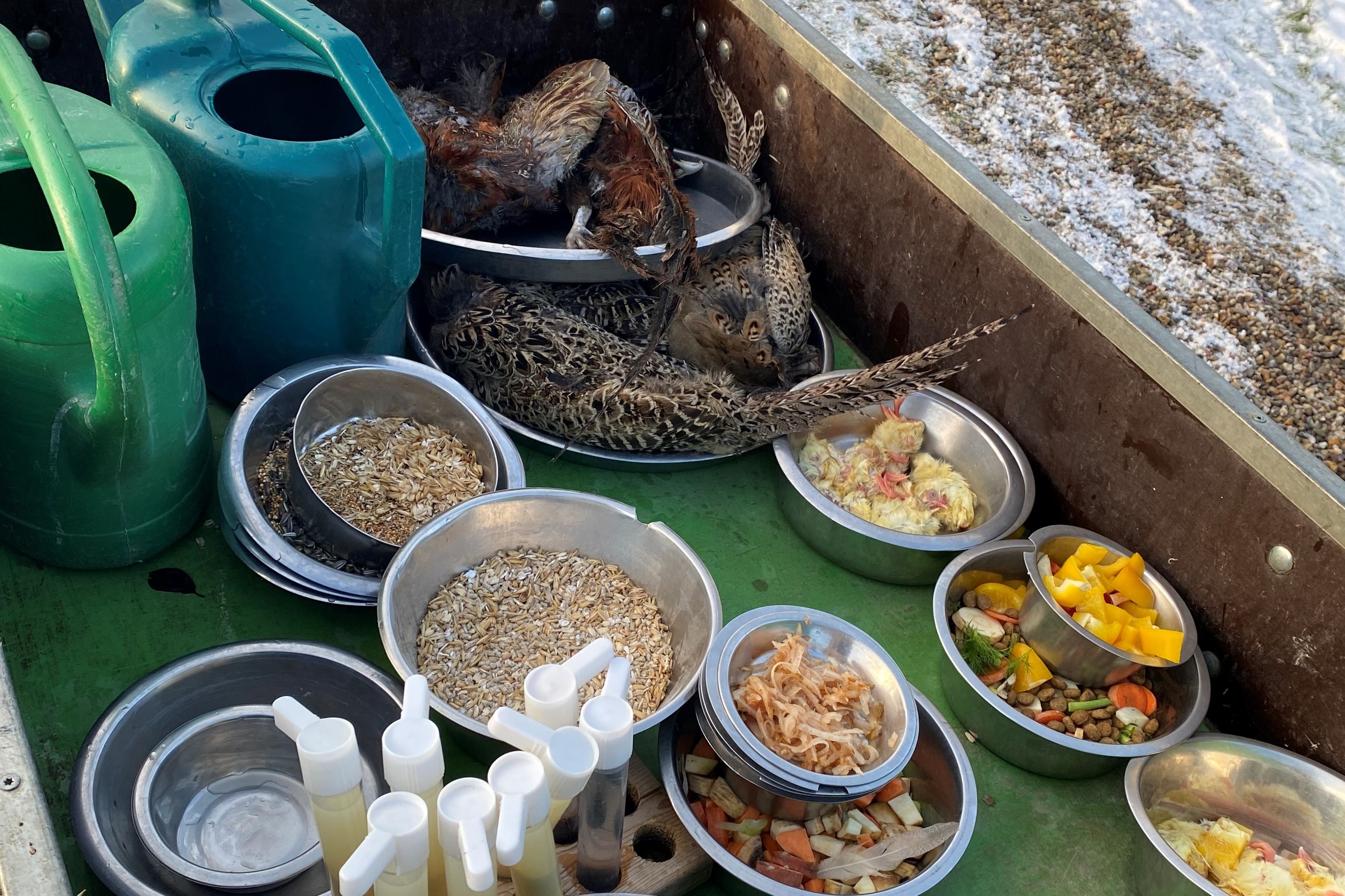 En fodervogn fyldt med vandkander og frisk foder som frugt, grønt, frø, fjerkræ osv. Nu skal dyrene i Hansenbergs undervisningszoo fodres.